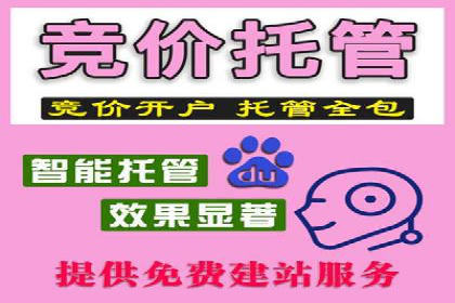 SEM外包公司服务优势及成功案例解析
